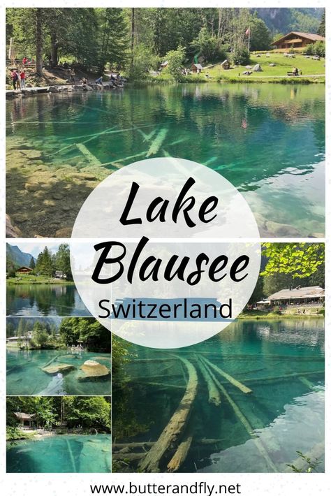 Lake Blausee Switzerland, Switzerland Travel Summer, Blausee Switzerland, Trout Farm, Visit Switzerland, Switzerland Travel, Natural Park, Europe Travel Guide, Europe Travel Destinations