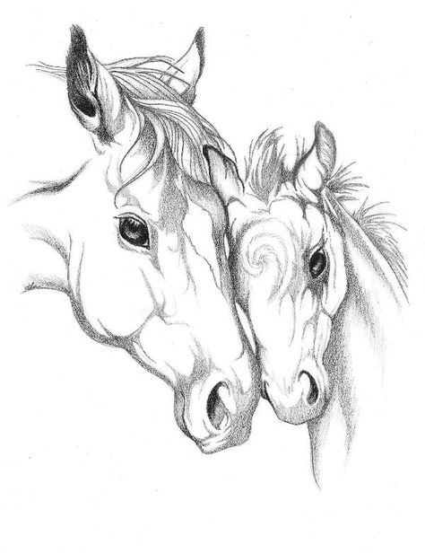 Mare and foal sketch by Dixie Andrew Horse And Foal Tattoo, Mare And Foal Drawing, Foal Drawing, Burning Pictures, Animal Sketches Easy, Mare And Foal, Western Svg, Butterfly Sketch, Eagle Painting