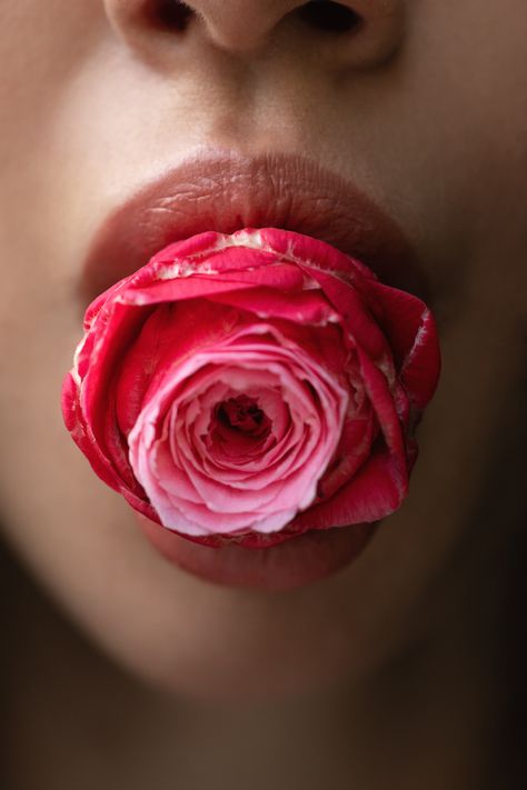 Bocca, rosa Flowers In Mouth, Mouth Doodle, Flower In Mouth, Rose In Mouth, Tea Book, Magic Energy, Tongue Tie, Rose Art, Art References