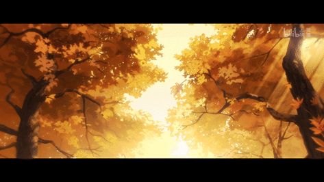 Sunset Gif, Memories Anime, Background Anime, Heaven Official's Blessing, Scene Wallpaper, Fall Banner, View Wallpaper, Banner Gif, Landscape Background