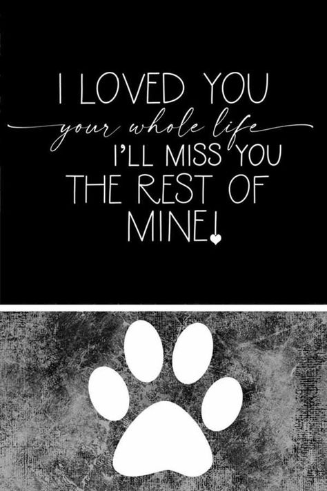 PET LOSS AND MEMORIAL digital quotes - INSTANT DOWNLOAD This word art collection is designed for those experiencing grief, mourning, memorial inspiration ideas for a pet. These quotes touch the heart and soul and hopefully are able to express in words what you might find difficult expressing during Rip Cat Memories, Rip Pet Quotes Cat, Cat Memorial Quotes, Dead Cat Quotes, Tattoos For Dead Dogs, Dog Died Quotes, Dead Dog Quotes, Rip Dog Quotes, Gravestone Ideas