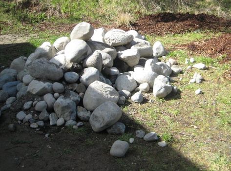 Pile of Rocks for Rockery Pile Of Rocks Garden, Rock Pile Garden, Rock Pile Landscaping, Penguin Rocks, Pile Of Rocks, Background References, Beautiful Landscaping, Rock Garden Plants, Potager Garden