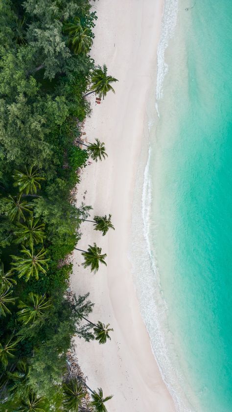 Welcome to Koh Phangan😍 It’s one of the most famous islands in the world. It’s well known for the Full Moon parties on the beach. But… | Instagram Full Moon Party, Koh Phangan, The Full Moon, Koh Samui, Nature Beautiful, Amazing Nature, Full Moon, Travel Photography, The Beach