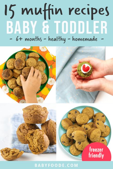 These wholesome kid-friendly Applesauce Mini Muffins are filled with whole wheat, applesauce and heart-healthy olive oil. Plus, find 14 other healthy muffin recipes for your little ones in this post! Muffin Recipes For Toddlers, Jameson Recipes, Toddler Veggies, Graham Recipes, Healthy Toddler Muffins, Mini Blueberry Muffins, Toddler Muffins, Whole Wheat Muffins, Recipes For Baby