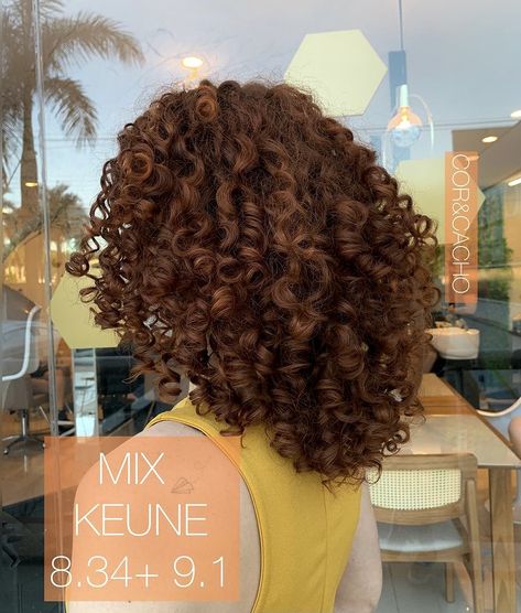 3b Curly Hair Color Ideas, Short Curly Copper Hair, Hair Chestnut Brown, Brown Hair Curly, Auburn Brown Hair, Auburn Hair With Highlights, Curly Hair Color Ideas, Brown Auburn Hair, Curly Hair Color