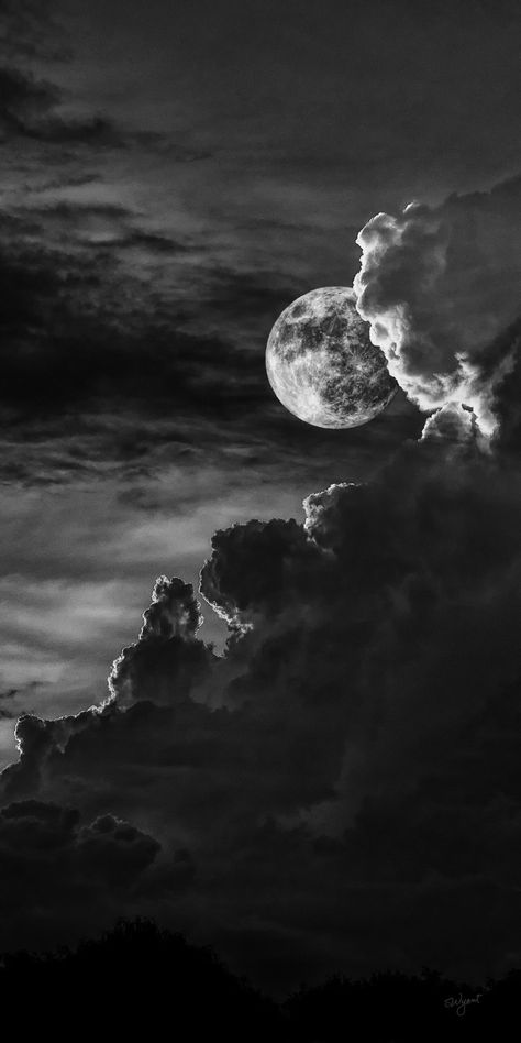 🌕 Moonlight Elegance 🌌 - Explore the beauty of the night sky in this enchanting black and white photograph. The moon's soft glow weaves through billowy clouds, creating a mesmerizing dance of light and shadow. Let the moon's mystique capture your imagination. #MoonlightMagic #NightSky #Photography Night Sky Black And White, Moon Black And White, Night Time Photography, White Figures, Shop Photography, Moonlit Night, Moon Clouds, Ronaldo Wallpapers, Black Sky