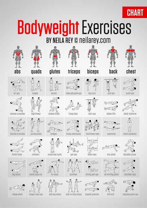 Imgur: The most awesome images on the Internet Bolesti Chrbta, Core Strengthening Exercises, Muscle Abdominal, Ab Routine, Bodyweight Exercises, Strengthen Core, Fitness Routines, Strengthening Exercises, Workout Chart