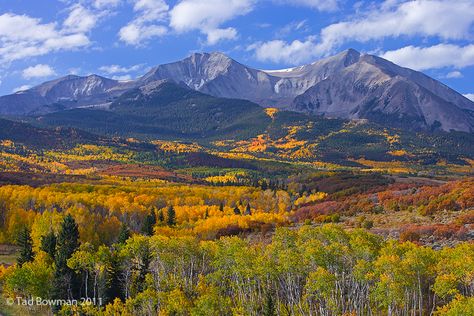 Mount Sopris Morning White River National Forest, Colorado Oak Trees Landscaping, Waterfall Pictures, Mountain Pictures, Glenwood Springs, White River, Aspen Trees, Colorado Homes, Rustic Colors, The Mountains Are Calling