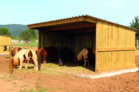 Why you need to get field shelter sorted for summer Horse Run In Shelter, Field Shelters, Horse Farms, House Plans, Horses, Building