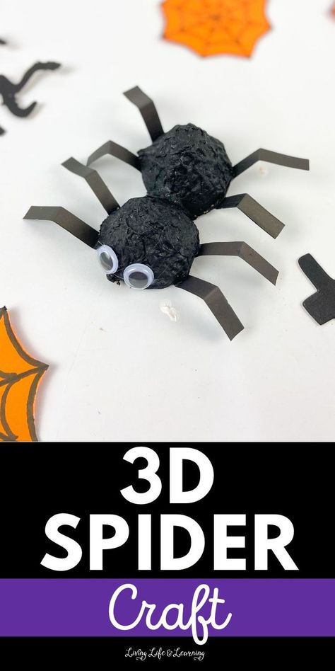 3D Spider Craft Spider Craft For Kids, Kids Crafts Recycled Materials, Spiders For Kids, Homeschool Halloween, Biology For Kids, Spider Craft, 3d Spider, Recycled Crafts Kids, Spider Crafts