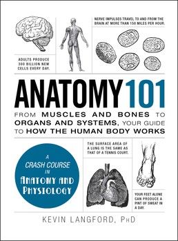 The Human Body Anatomy, Anatomy Books, Anatomy 101, Anatomy Education, Human Body Structure, Basic Anatomy And Physiology, Human Body Anatomy, Organ System, Human Anatomy And Physiology