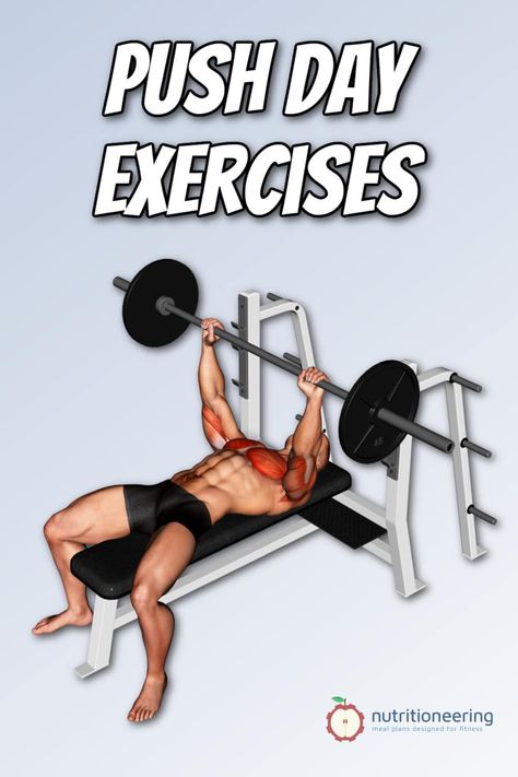 Push Day Exercises Pinterest Push And Pull Upper Body Workout, Push Pull Workout Routine Beginner, Upper Push Workout, Upper Body Push Exercises, Push Pull Upper Body Workout, Push Exercises Gym, Lower Body Pull Exercises, Push Vs Pull Workout, Push Arm Workouts