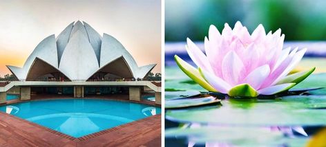 Biomimicry Architecture, Lotus Temple, Concept Models Architecture, Art Appliqué, Architecture Concept Drawings, The Lotus, Architectural Inspiration, Concept Architecture, Inspired By Nature