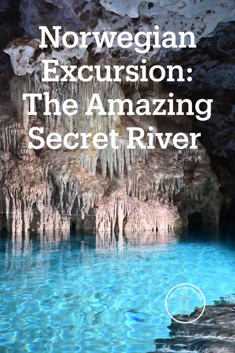 A review of the Norwegian excursion "The Amazing Secret River" in Cozumel, Mexico. Cozumel Mexico Cruise, Cary On, Mexico Cruise, Cozumel Mexico, Cozumel, Our Journey, Tour Guide, The Amazing, Let Me