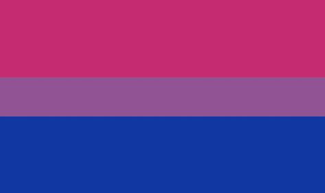 Bisexual Pride Flag, Bi Flag, Lesbian Pride Flag, Bisexual Flag, Lgbtq Flags, Lgbt Flag, Pansexual Pride, Pride Stickers, Flag Icon