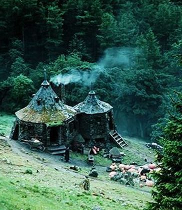 I would love living in Hagrid's hut. Assuming, of course, I had internet and a grocery near by. Elf Rogue, Hagrids Hut, Rubeus Hagrid, Welcome To Hogwarts, Harry Potter Halloween, The Prisoner Of Azkaban, Hogwarts Castle, Prisoner Of Azkaban, Albus Dumbledore