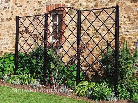 Freestanding steel wall trellis in 3 panels. Powder coated finish, in front of the coach house at the National Trust's, Beaumont House. Beaumont, Adelaide, SA. Shade Trellis, Pot Trellis, Patio Trellis, Clematis Trellis, Pergola Ideas For Patio, Metal Garden Trellis, Outdoor Panels, Iron Trellis, Wall Trellis