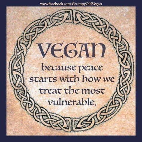 Vegan Picnic, Vegan Muscle, Vegan Facts, How To Become Vegan, Vegan Memes, Vegan Bodybuilding, Animal Activism, Vegan Quotes, Why Vegan