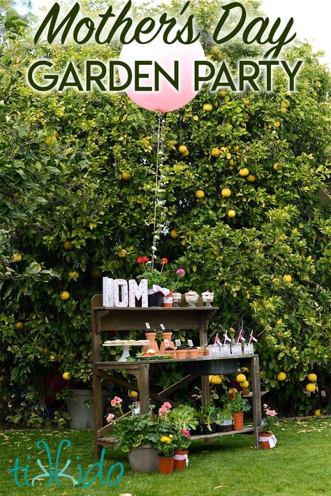 This spring garden party is perfect for a Mother's Day celebration--and it's designed to be so easy to put together that the kids can do it themselves! Mothers Day Garden Party, Mothers Day Theme, Mother’s Day Cookout Decor, Mothers Day Celebration Ideas, Mothers Day Theme Party Ideas, Mothers Day Party, Mother’s Day Event Ideas, Mothers Day Event Ideas, Garden Mother’s Day Ideas