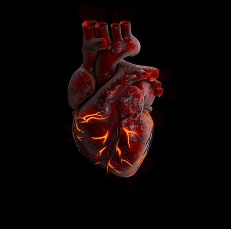 Human Heart, In Italy, Italy, Human