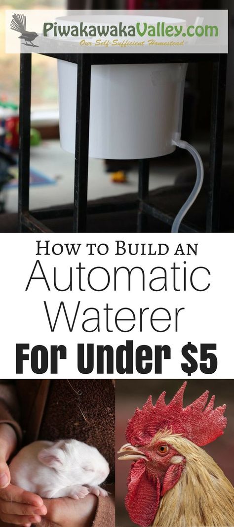 Automatic watering systems take the worry out of watering the animals. An auto waterer can last for several days and it keeps rabbits and chickens from making the water dirty or tipping it out. To make this automatic waterer I used a few things that I had Diy Rabbit Watering System, Best Chicken Watering System, Diy Quail Waterer, Chicken Coop Watering System, Rabbit Watering System, Rabbit Husbandry, Rabbit Waterer, Chicken Watering System, Hutch Ideas