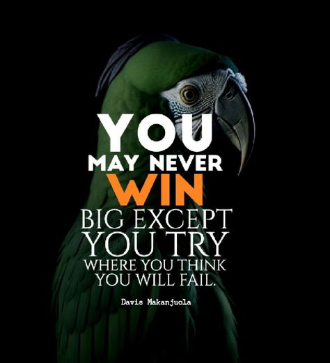 DARING Parrot Love Quotes, Dare To Live The Life You Always Wanted, Better Life Quotes, You Tried, Say You, Better Life, Thinking Of You, Meant To Be, Life Quotes