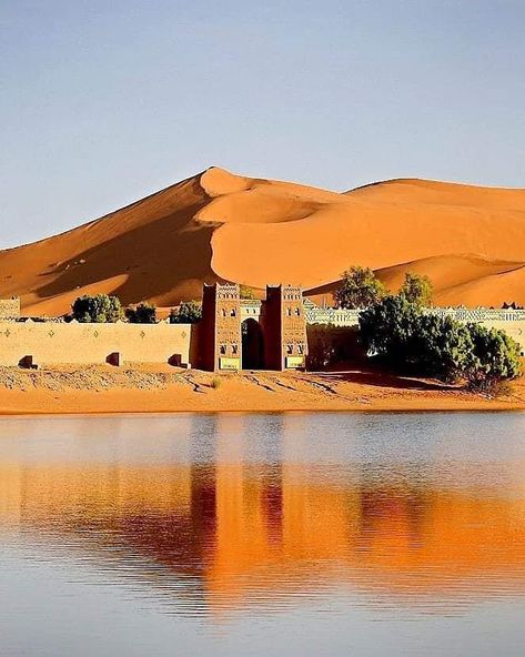 Morocco identity . All the visual inspiration you need to explore Morocco every day!� Visit our facebook page . Sahara désert marocains erg chebbi Merzouga morocco  #sunset #sunsets #sunsetlovers#naturephotography #nature #naturelovers#adventuresinmorocco #adventure #lovequotes#sunset_pics #natgeo #ilovenature#naturegeography #natureshots #natureisamazing#bestdiscovery #bestoftheday #colors #light#wonderfulview #wonderfulplaces #travelworld#landscape_captures #landscape #view #skycolors#morocco Erg Chebbi Morocco, Desert Kingdom, Arab Desert, Aesthetic Desert, Morocco Africa, Desert Morocco, Morocco Desert, Visit Morocco, Jaisalmer