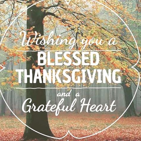 Blessed Thanksgiving, Messages For Friends, Thanksgiving Images, Iphone Wallpaper Fall, Holiday Quotes, Thanksgiving Quotes, Autumn Quotes, Faith Prayer, Grateful Heart