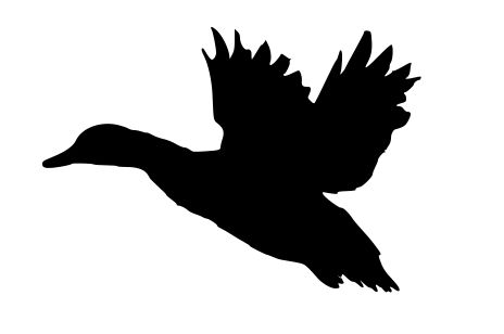 Flying Duck Silhouette   Clipart Panda   Free Clipart Images Duck Stencil, Duck Flying, Winged Stencil, Unicorn Stencil, Feather Stencil, Duck Silhouette, Flying Duck, Victorian Porch, Duck Pins