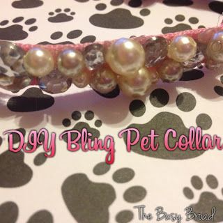 Cute Dog Tags, Bling Dog Collars, Spoiled Pets, Diy Bling, Dog Accesories, Rhinestone Dog Collar, Diy Dog Collar, Dog Bling, Collars Diy