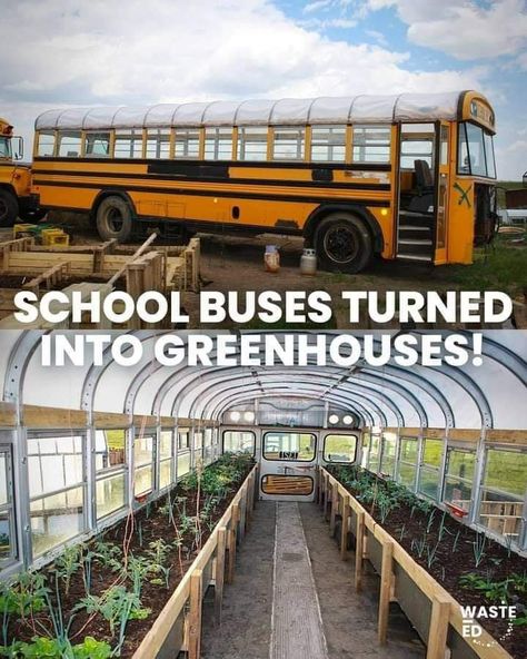 Off Grid Garden, Greenhouse Studio, Environment Pictures, Homesteading Garden, Live Off Grid, Bus School, Edible Weeds, Off Grid Survival, Old School Bus