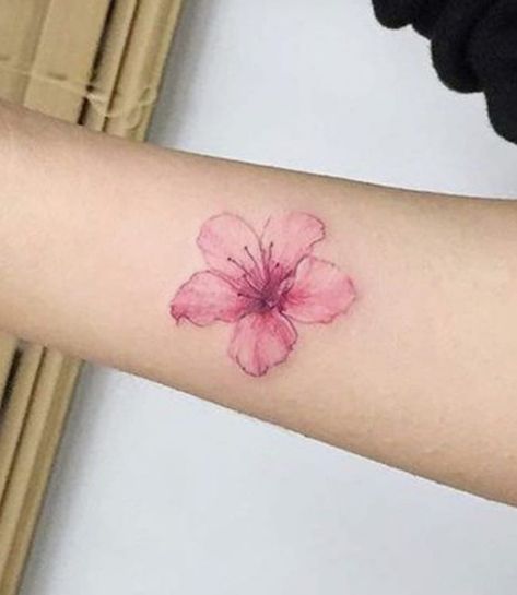 Purple Hibiscus Tattoo, Pink Hibiscus Tattoo, Hibiscus Tattoo, Purple Hibiscus, Pink Hibiscus, Dream Tattoos, Lotus Flower Tattoo, Hibiscus, Flower Tattoo