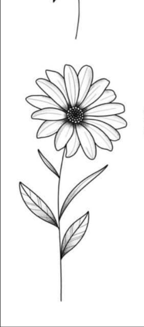 Easy Flower Tattoo Stencil, Daisy Tattoo Stencil Outline, Daisy Tattoo Petals Falling, Daisy Outline Drawing, Simple Daisy Tattoo Designs, Simple Flower Tattoo Stencil, Simple Daisy Tattoo Outline, Simple Flower Stencil Pattern, Easy Outline Tattoos