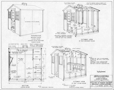 8x8 Coop Plans 8x8 Chicken Coop Plans, 8x8 Chicken Coop, Coop Plans Free, Large Chicken Coop Plans, Chicken Coop Plans Free, Diy Chicken Coop Plans, Teaching Life Skills, Chicken Ideas, Chicken Coop Designs