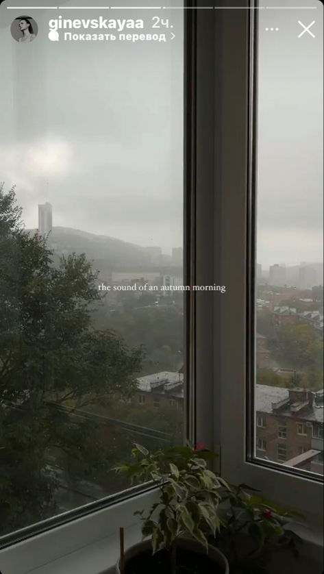 Rainy Morning Snap, Comfort Space, Travel Phrases, Insta Aesthetic, Rainy Day Aesthetic, Today Morning, Beautiful Windows, Stories Ideas, Cozy Aesthetic