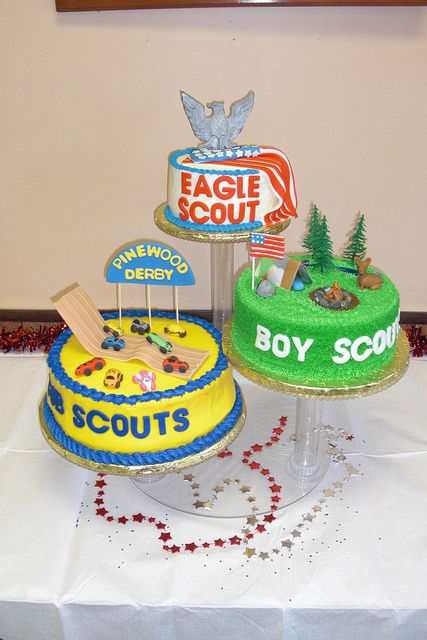 Boy Scout Cake, Cub Scout Cake, Eagle Scout Cake, Boy Scouts Eagle, Eagle Scout Ceremony, Cub Scout Activities, Court Of Honor, Eagle Project, Eagle Scouts