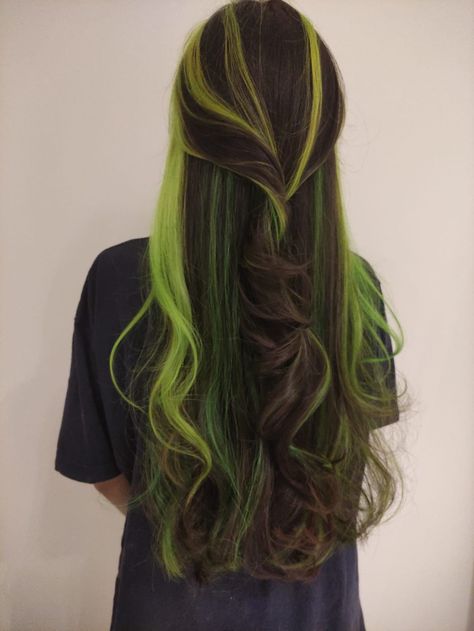 Cabelo castanho escuro com mechas verdes Brown And Green Hair, Dyed Hair Inspiration, Colored Wigs, Hair Inspiration Color, Hair Color Trends, Brunette Hair, Green Hair, Hair Designs, Pretty Hairstyles