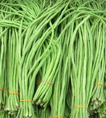 Chinese Long Beans - Green Beans Chinese Long Beans, Green Bean Seeds, Chinese Kool, Snap Beans, Fried Beans, Storing Vegetables, Asparagus Beans, Long Bean, Types Of Beans