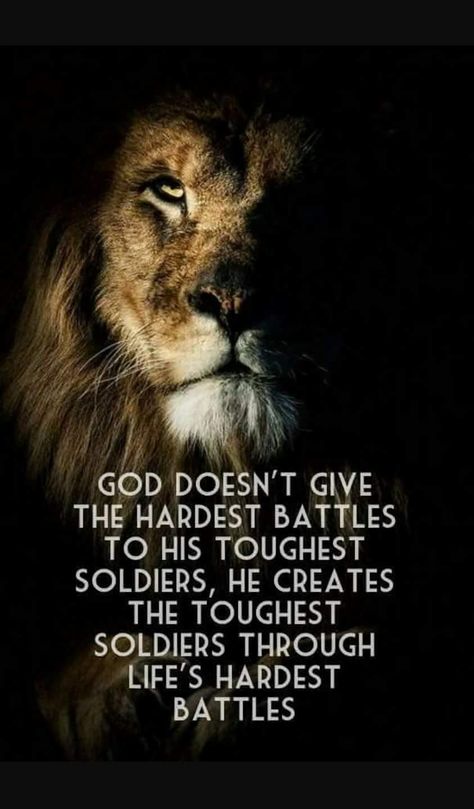 God doesn't give his hardest battles to his toughest soldiers, he creates the toughest soldiers through life's hardest battles. Lion Quotes, Ayat Alkitab, Warrior Quotes, A Lion, Mindfulness Meditation, Inspirational Quotes Motivation, Faith Quotes, Great Quotes, Spiritual Quotes