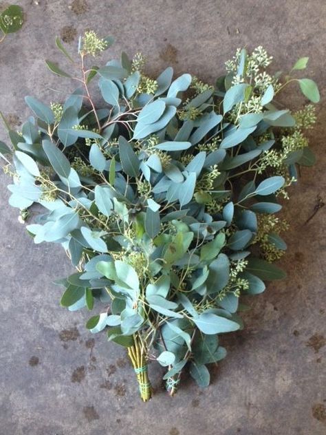 Eucalyptus Populus, Flower Library, Flower Board, Laura James, Moon Wedding, Flower Arrangements Simple, Flower Names, Garland Wedding, Deco Floral