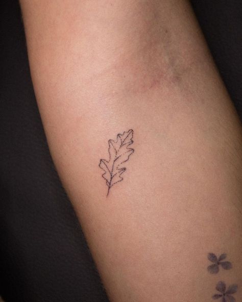 Pin Oak Leaf Tattoo, Oak Tree Leaf Drawing, Tiny Oak Leaf Tattoo, Oak Tree Leaves Tattoo, Acorn And Oak Leaf Tattoo, Oak Leaf Tattoo Simple, Acorn Tree Tattoo, White Oak Tattoo, Small Maine Tattoo