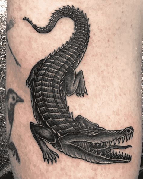 Crocodile Tattoo Design Images (Crocodile Ink Design Ideas) Traditional Alligator Tattoo, Crocodile Tattoo Design, Crocodile Tattoos, Gator Tattoo, Mermaid Scales Tattoo, Alligator Tattoo, Crocodile Tattoo, Tattoo Cartoon, Scale Tattoo