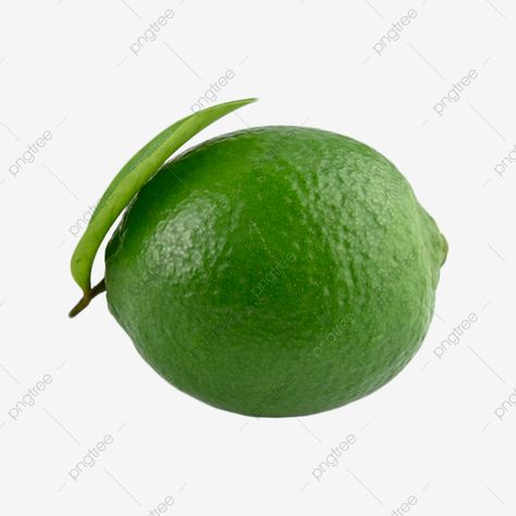 Green Lemon Aesthetic, Lemon Water Aesthetic, Lime Clipart, Lemon Vodka Drinks, Freeze Lemons, Photography Clipart, Lemon Drinks, Lemon Health, Lemon Food