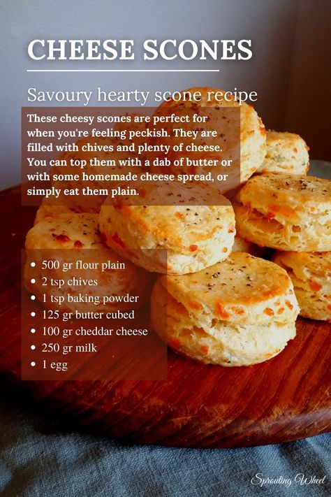 Delicious savoury cheese scones - Sprouting Wheel | Recipe Tea Scones Recipe, Cheesy Scones, Savory Scones Recipe, Cheese Scone Recipes, Scones Recipe Easy, Cheese Scones, Savory Cheese, Savory Scones, Scones Recipe