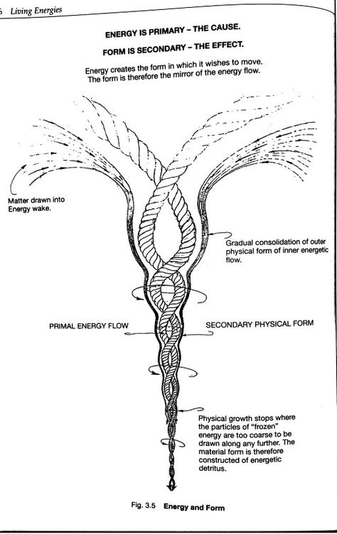 Beautiful drawing. Viktor Schauberger, Cause And Effect, Free Energy, Beautiful Drawings, Spirituality, Energy, Make It Yourself, Drawings, Quotes