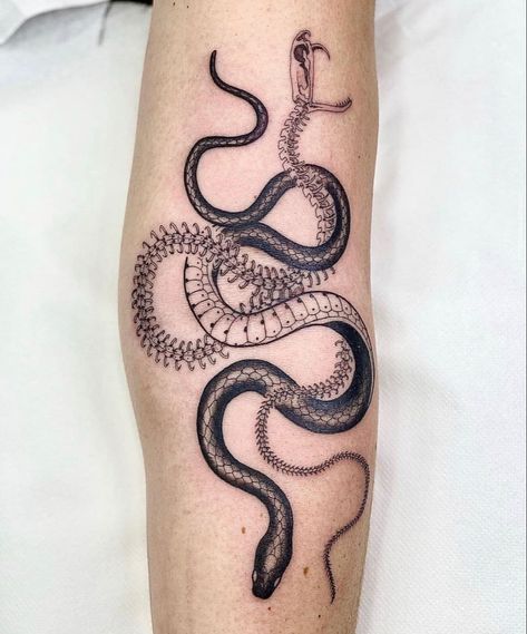 Acab Tattoo, Snake Skeleton, Snake Tattoos, Girl Back Tattoos, Snake Tattoo Design, Skeleton Tattoos, Stomach Tattoos, 1 Tattoo, Snake Tattoo