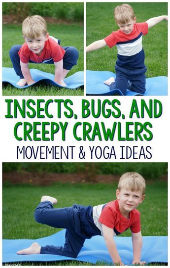 Gross Motor Preschool, Preschool Yoga, Yoga Ideas, Bug Activities, Insects Preschool, Bugs Preschool, Insect Activities, Creepy Crawlers, Kids Yoga Poses