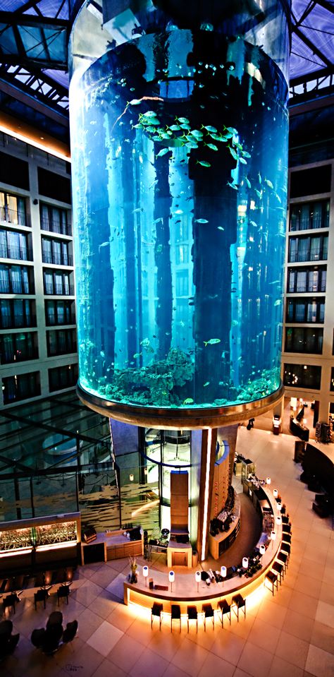 The AquaDom at the Radisson Blue in Berlin, Germany. Amazing Aquariums, Europa Park, Radisson Blu, Restaurant Ideas, Parc D'attraction, Design Exterior, Komodo, Sea View, Berlin Germany