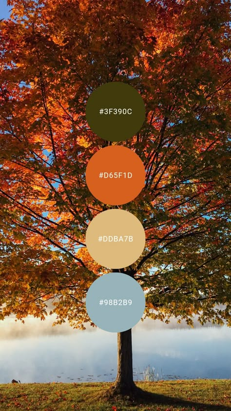 #colourpalette #colorpalette #colour #color #palette #cornflower #blue #pumpkin #orange #autumn #fall Orange Blue Cream Color Palette, Fall Blue Color Palette, Blue Fall Color Palette, Pumpkin Color Palette, Cowboy Color Palette, Periwinkle And Orange, September Color Palette, Autumn Color Scheme, Fall Color Pallet