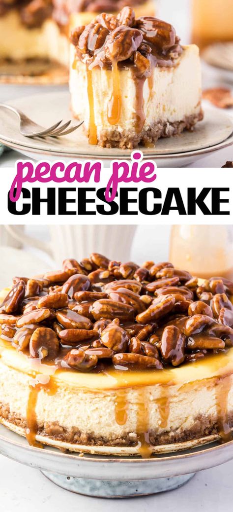 Cheesecake With Pecan Topping, Pecan Sauce For Cheesecake, Pumpkin Cheesecake With Pecan Pie Topping, Cheesecake With Pecan Pie Topping, Pecan Pie Topping For Cheesecake, Pecan Cheesecake Pie, Pecan Cheesecake Recipes, Pumpkin Pecan Cheesecake, Chesse Cake